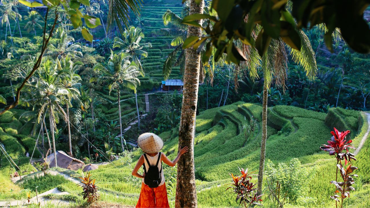 Indonesia Itinerary