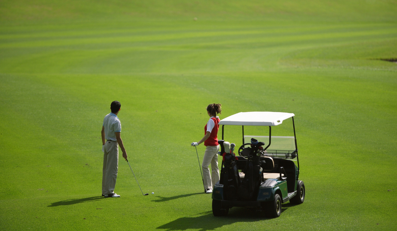 Luxury service- golf